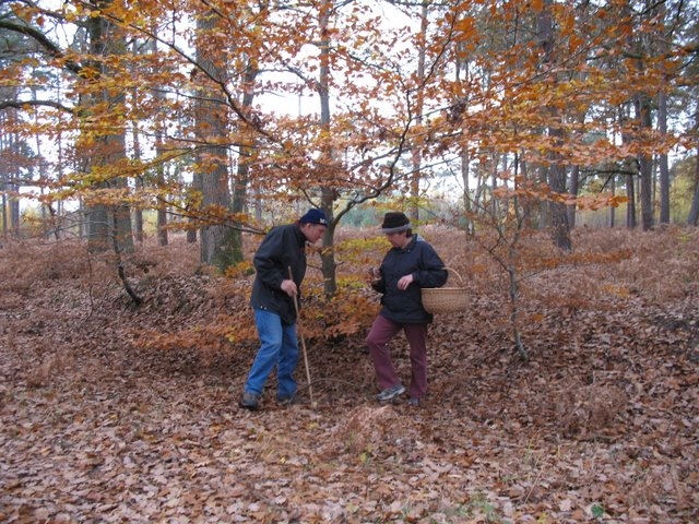 2007 11 Myco poteau des Quenouilles 08